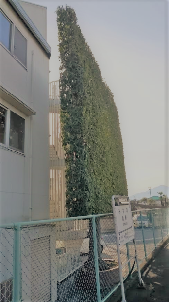 b0346378_16081763.png