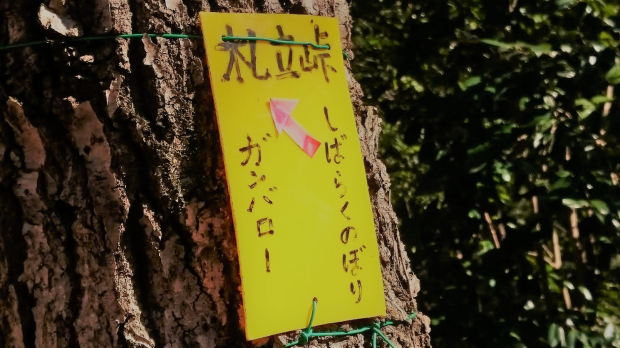 b0346378_16113746.png