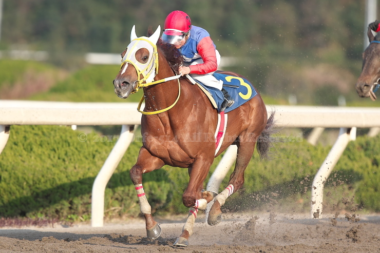 2017年1月10日　園田_c0361284_09125227.jpg