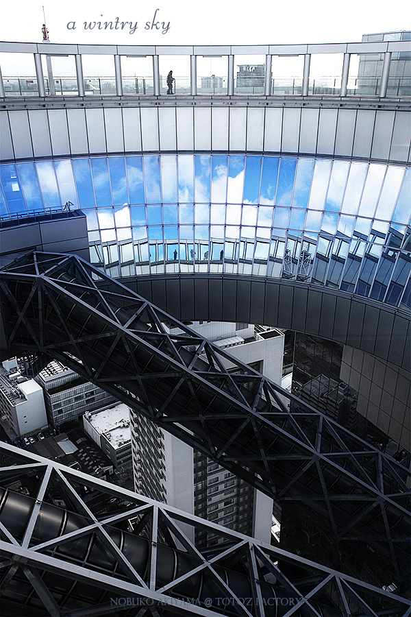 寒空_a0034287_13535070.jpg