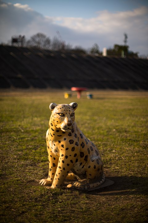 真冬のサバンナ (写真部門)_d0353489_938331.jpg