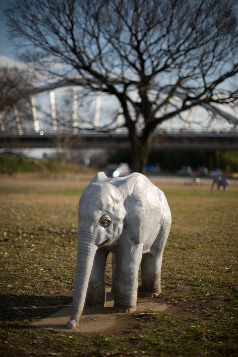 真冬のサバンナ (写真部門)_d0353489_9391726.jpg