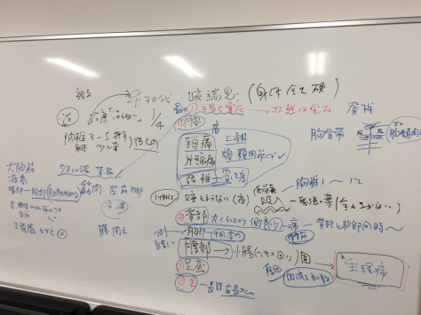 定期的に指圧治療技術研修会。_a0112393_15284090.jpg