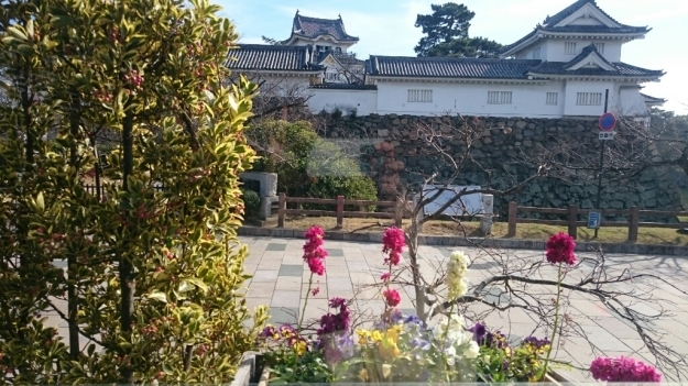b0009106_17555176.jpg