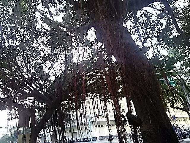 f0024708_1605014.jpg