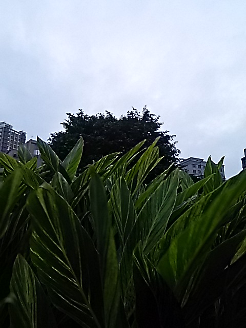 f0024708_1605022.jpg