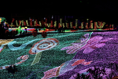 a0263109_14475627.jpg