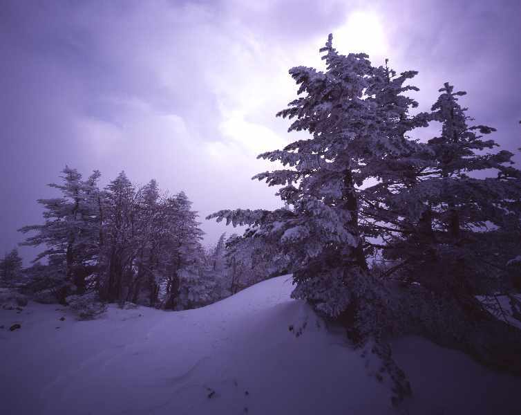 d0333714_17521643.jpg