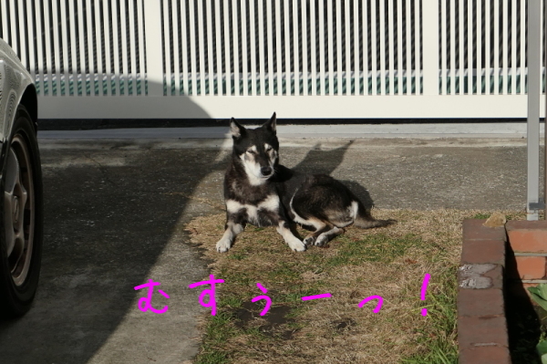 f0369014_19310980.jpg