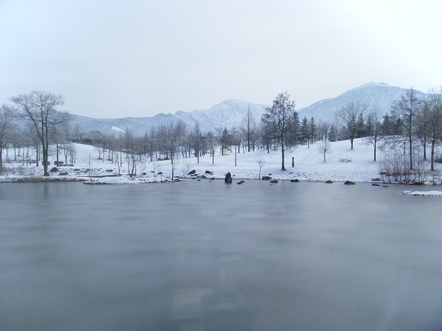 f0351315_19513107.jpg