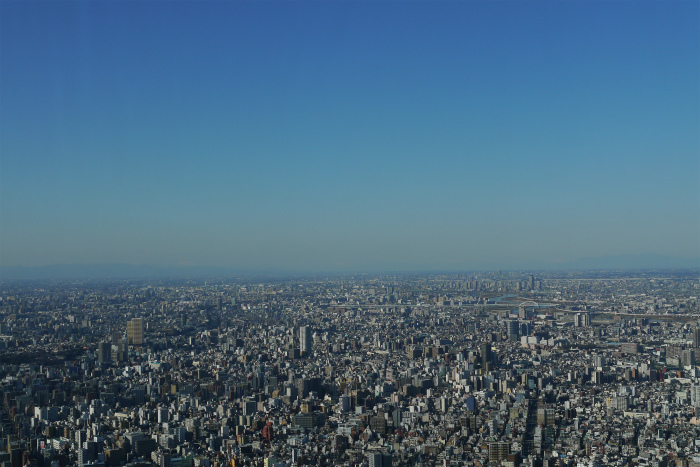 a0335421_10361043.jpg