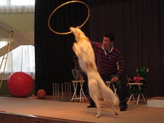 d0091723_13144881.jpg