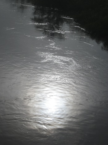 b0312424_6213625.jpg