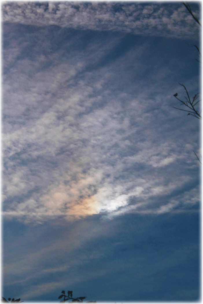 c0107829_13544683.gif