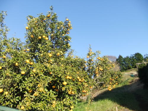 b0137932_00071758.jpg