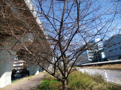 b0137932_01140780.jpg