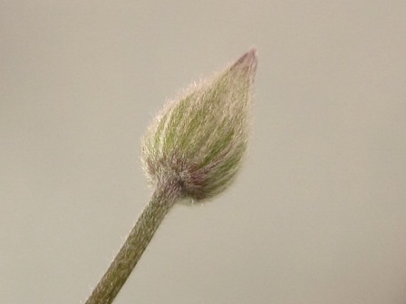 c0025140_20232616.jpg