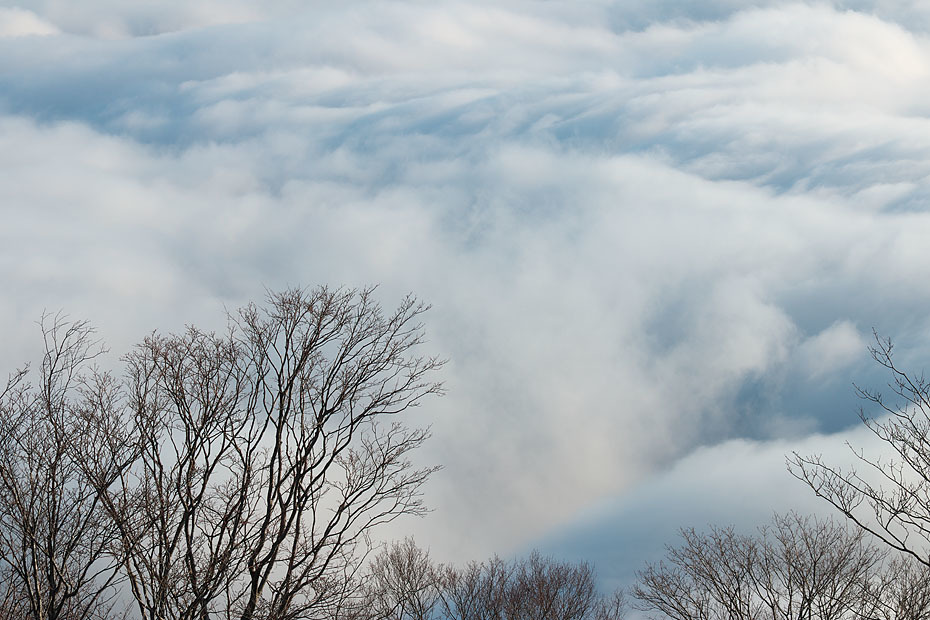 来日岳の雲海　’１６　（写真部門）_c0067040_23363371.jpg