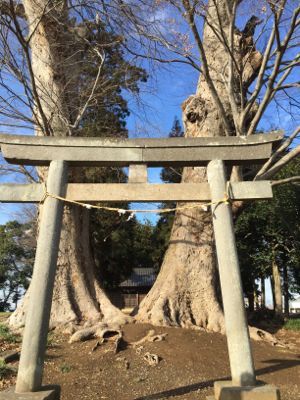 お墓参りに川越へ_d0136540_22010279.jpg