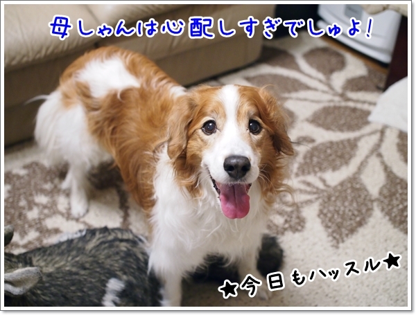 d0013149_23131467.jpg
