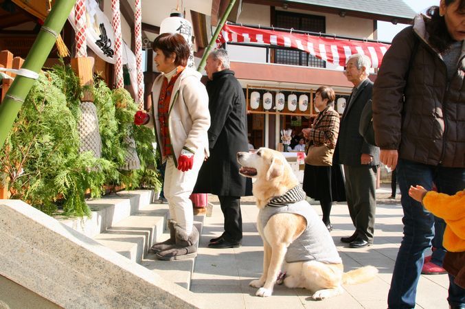えびす、えびすへ行く2017&元旦早々新聞掲載_e0364854_13473724.jpg