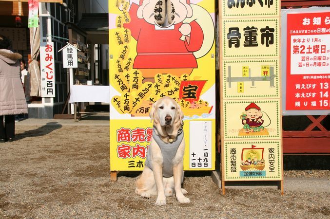 えびす、えびすへ行く2017&元旦早々新聞掲載_e0364854_13534130.jpg