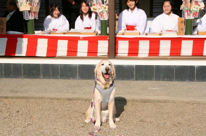 えびす、えびすへ行く2017&元旦早々新聞掲載_e0364854_13545298.jpg