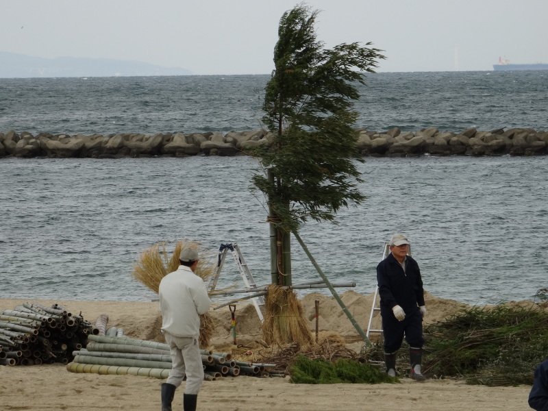 「新春里海まつり2017」とんど組み立て・・・せんなん里海公園内砂浜・他_c0108460_20330943.jpg