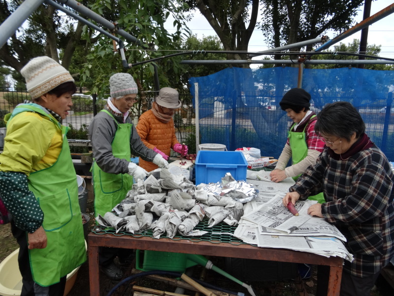 「新春里海まつり2017」とんど組み立て・・・せんなん里海公園内砂浜・他_c0108460_20352126.jpg