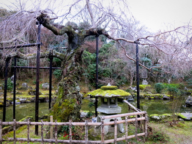 f0236260_17140219.jpg