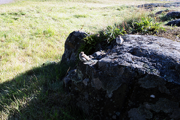 e0076761_01021261.jpg