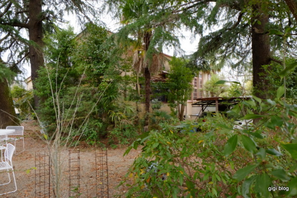 f0374868_18385286.jpg