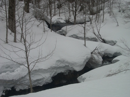 a0344771_13292108.jpg