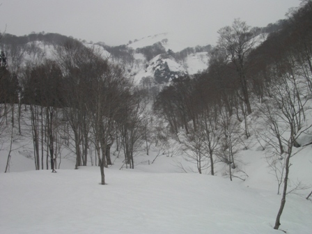 a0344771_13295856.jpg