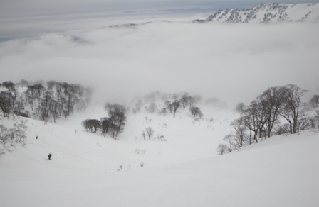 a0344771_13323914.jpg