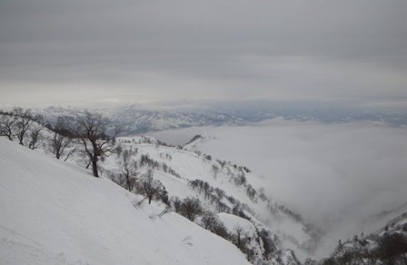 a0344771_13331053.jpg