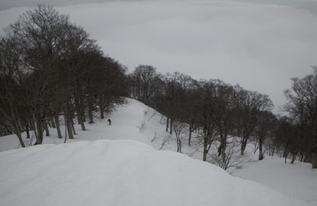 a0344771_13365674.jpg