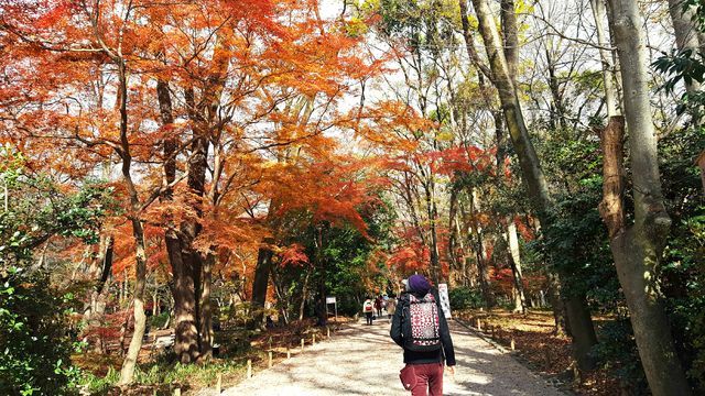 京のつくね家_a0182281_17235873.jpg