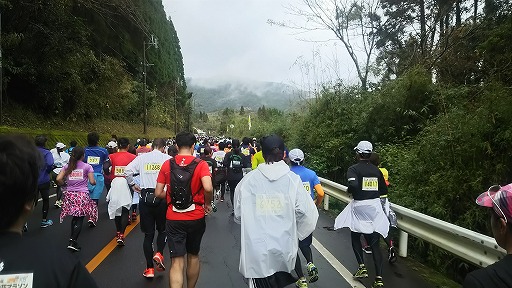 e0020682_20553569.jpg