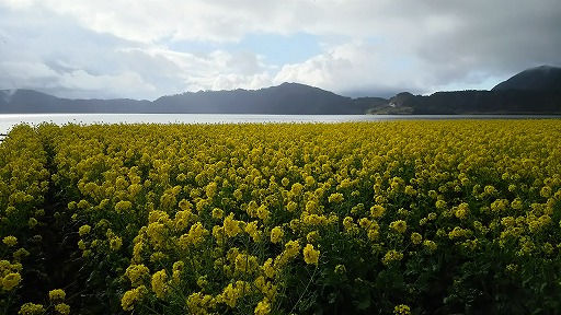 e0020682_20581031.jpg