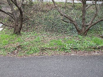 f0003283_13315794.jpg