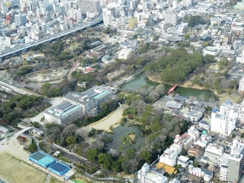 e0340485_20450108.jpg