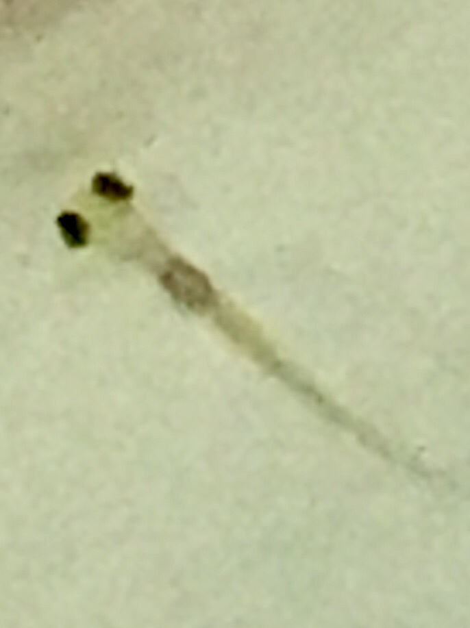 c0219990_16594880.jpg