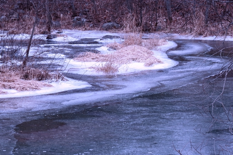 b0236595_17512730.jpg