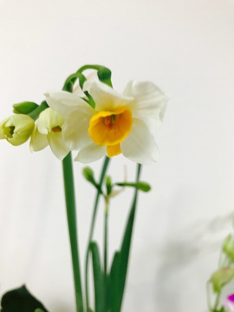 f0204295_17593515.jpg