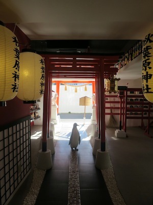 c0139897_16442492.jpg