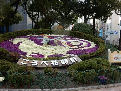 b0051598_21442285.jpg
