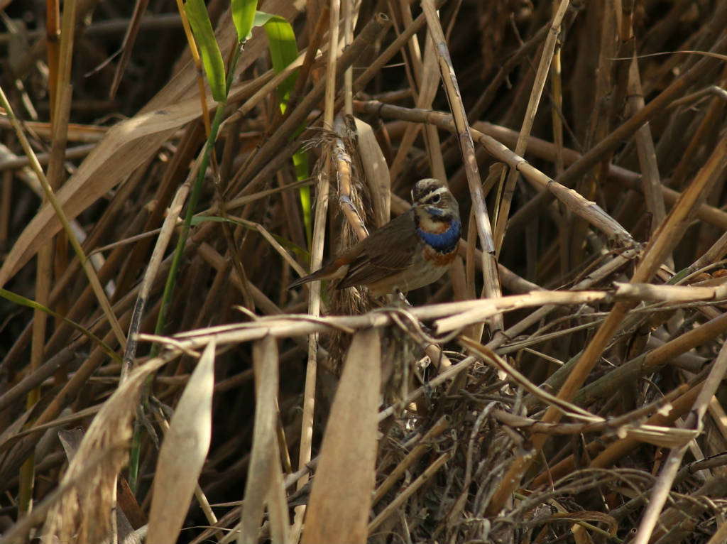 b0223198_08454087.jpg