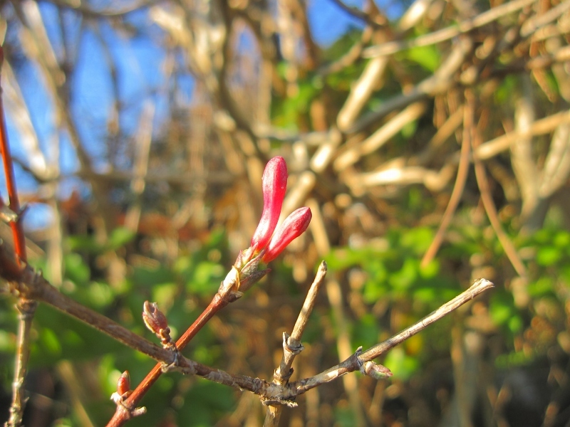 c0204298_20290611.jpg