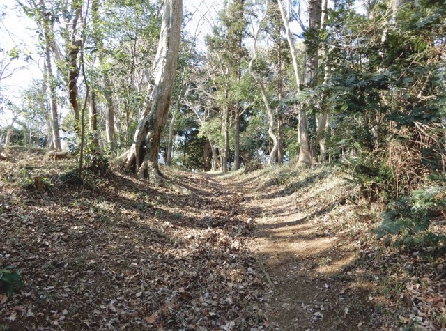 e0025300_1747411.jpg